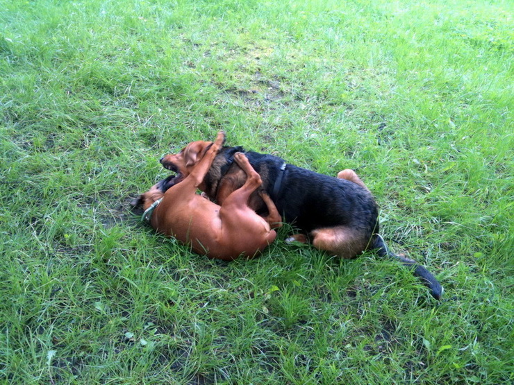 img0527resizen_zmień nazwę.jpg