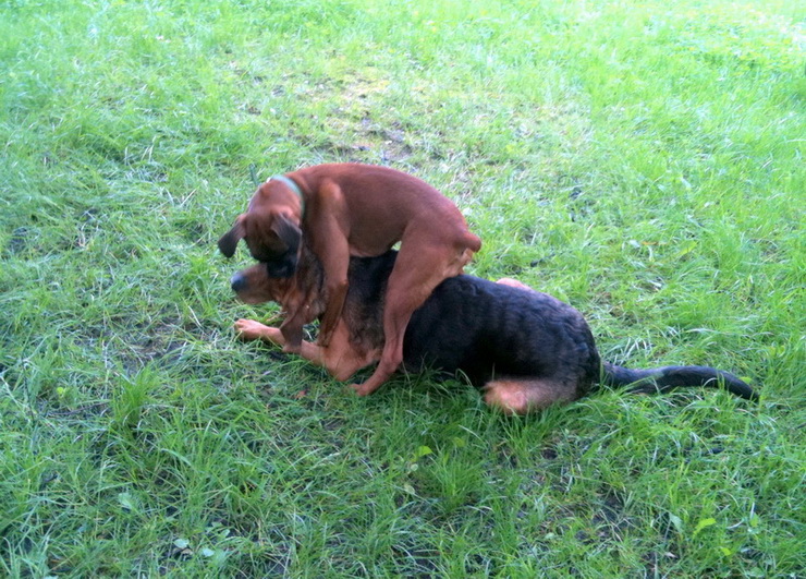 img0529resize_zmień nazwę.jpg