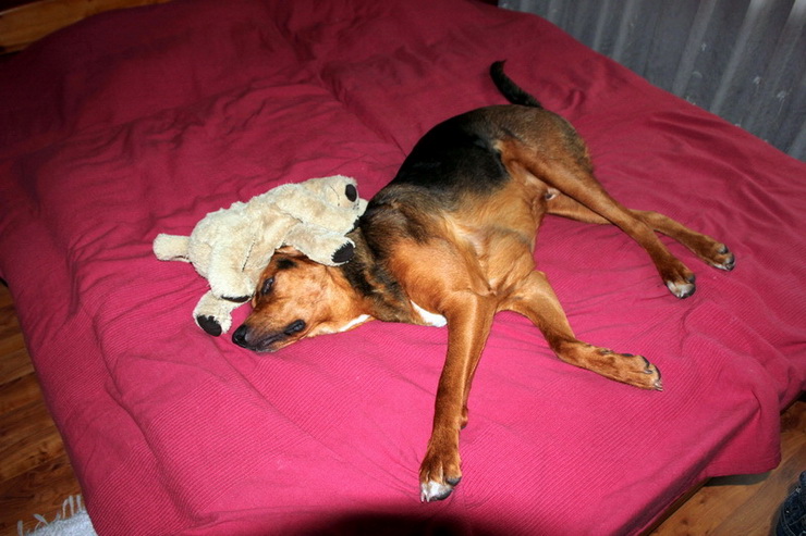 img3630resize_zmień nazwę.jpg