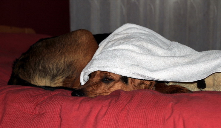 img3653resize_zmień nazwę.jpg