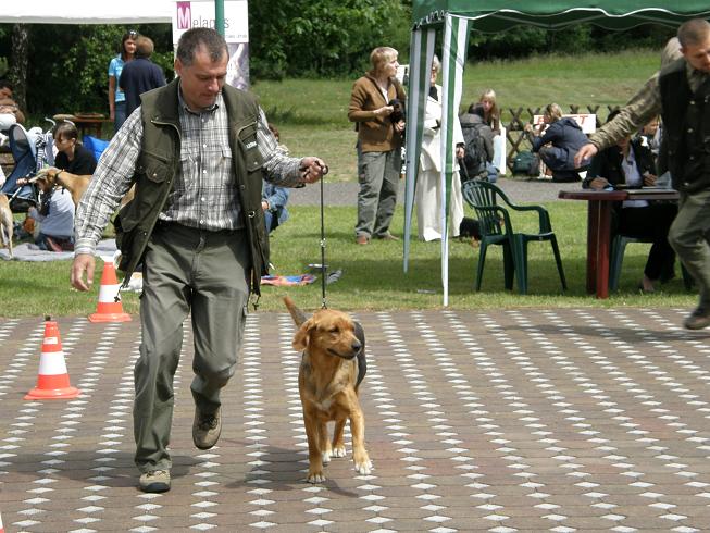 JARA na ringu