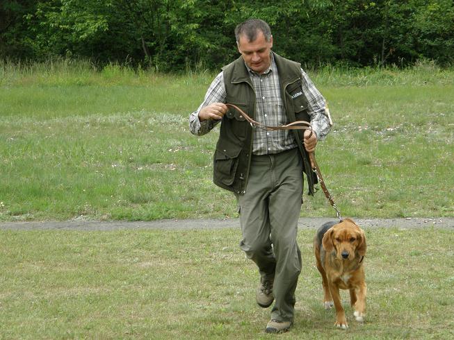 JARA przegląd