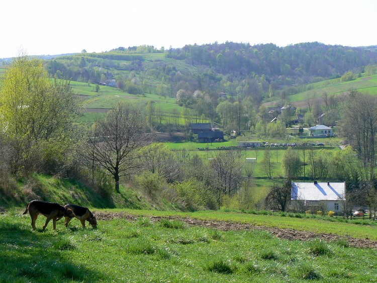 P1190714-1.JPG