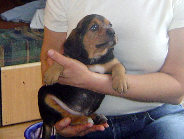 DSC02120.JPG