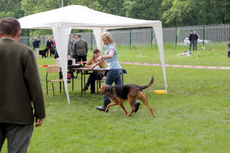 img3653resize_zmień nazwę_zmień nazwę.jpg