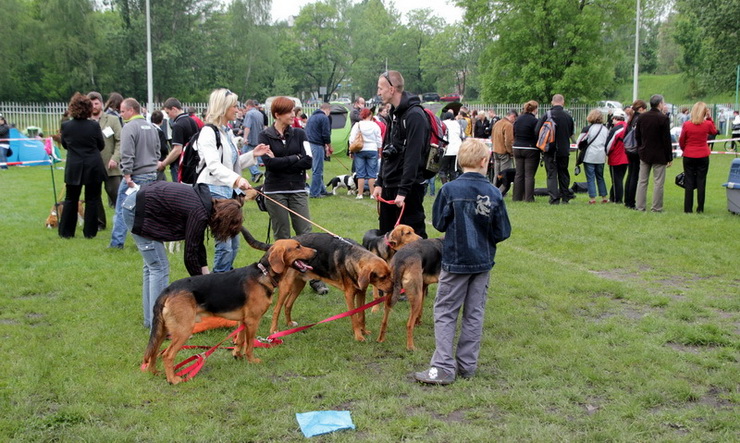img3786resize_zmień nazwę.jpg