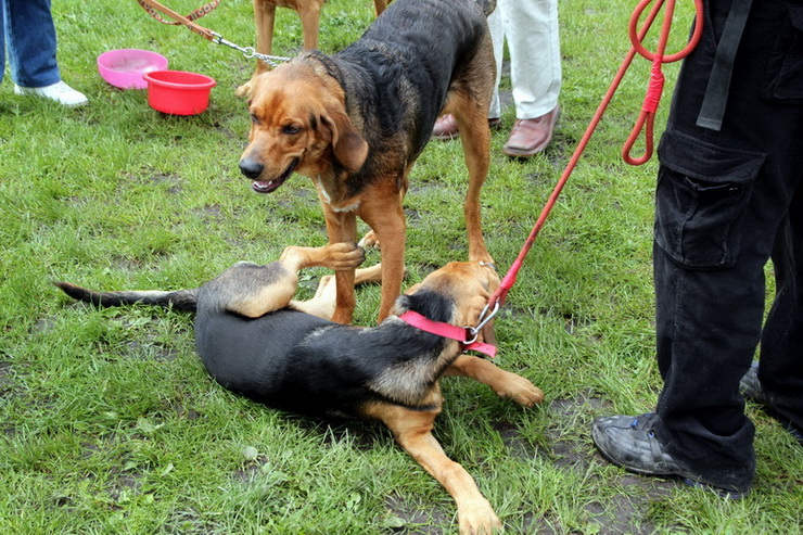 img3835resize_zmień nazwę.jpg