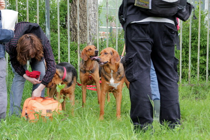 img3754resize_zmień nazwę.jpg