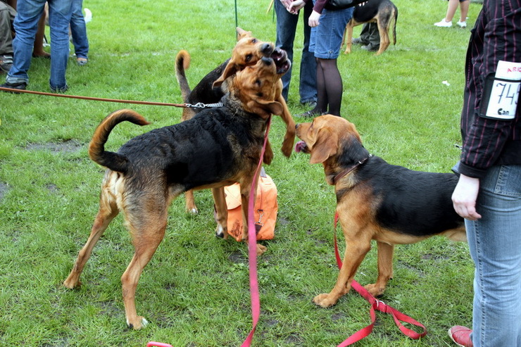 img3842resize_zmień nazwę.jpg
