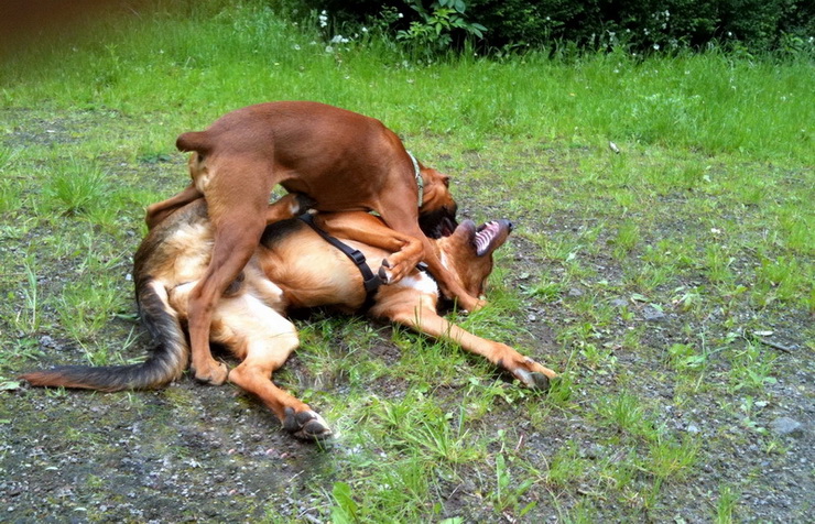 img0552resize_zmień nazwę.jpg