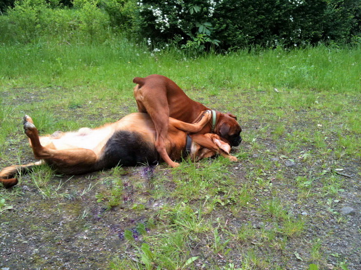 img0554resize_zmień nazwę.jpg