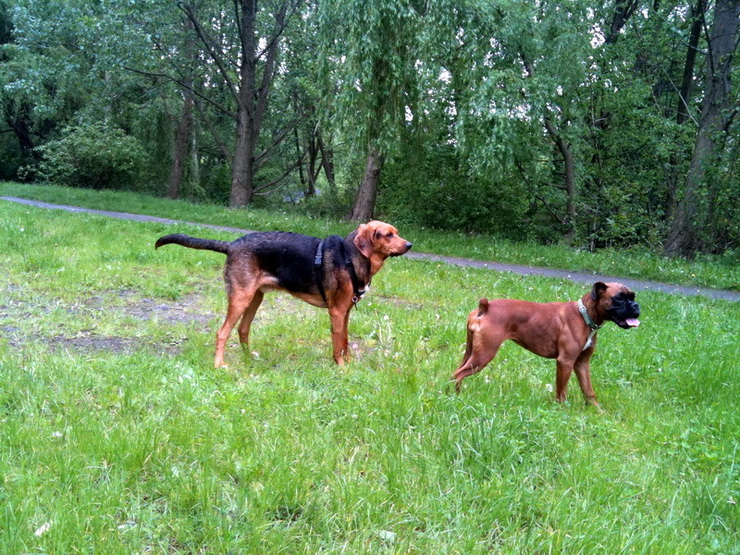 img0559resize_zmień nazwę.jpg