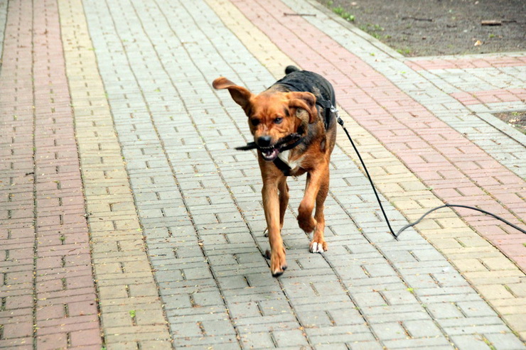 img3320resize_zmień nazwę.jpg