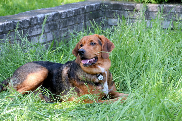 img3973resize_zmień nazwę.jpg