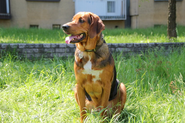 img3976resize_zmień nazwę.jpg