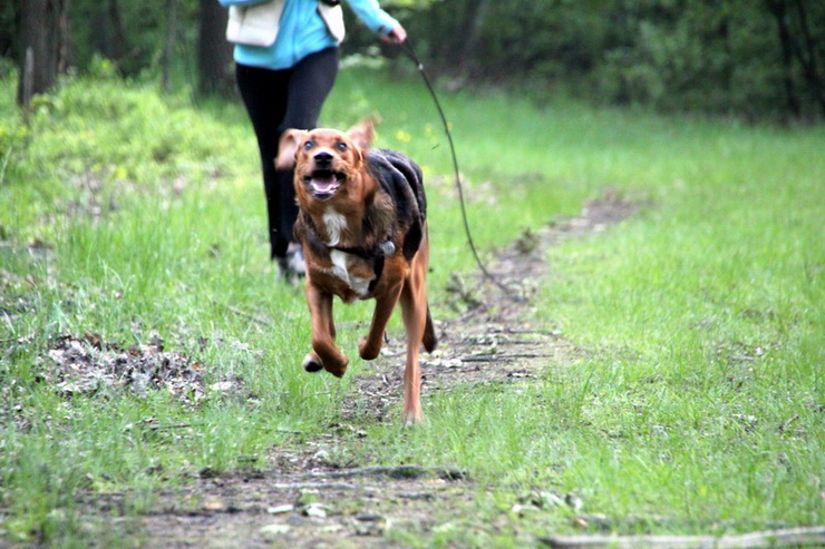 img4107resize_zmień nazwę.jpg
