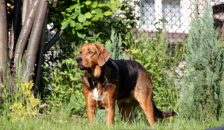 img4338resize_zmień nazwę.jpg