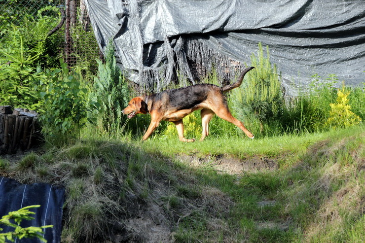 img4339resize_zmień nazwę.jpg