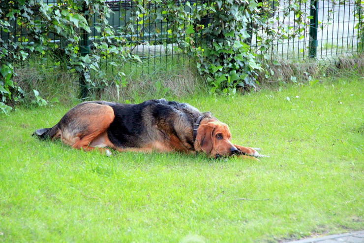 img4373resize_zmień nazwę.jpg