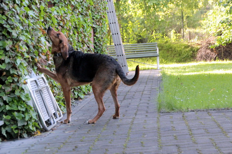 img4313resize_zmień nazwę.jpg
