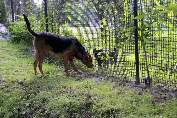 img4329resize_zmień nazwę.jpg