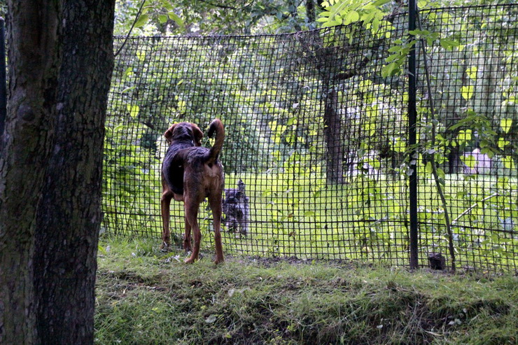 img4331resize_zmień nazwę.jpg