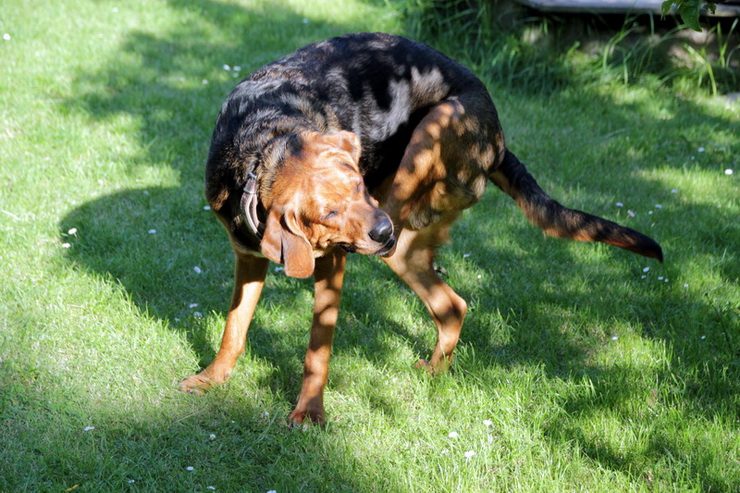img4335resize_zmień nazwę.jpg