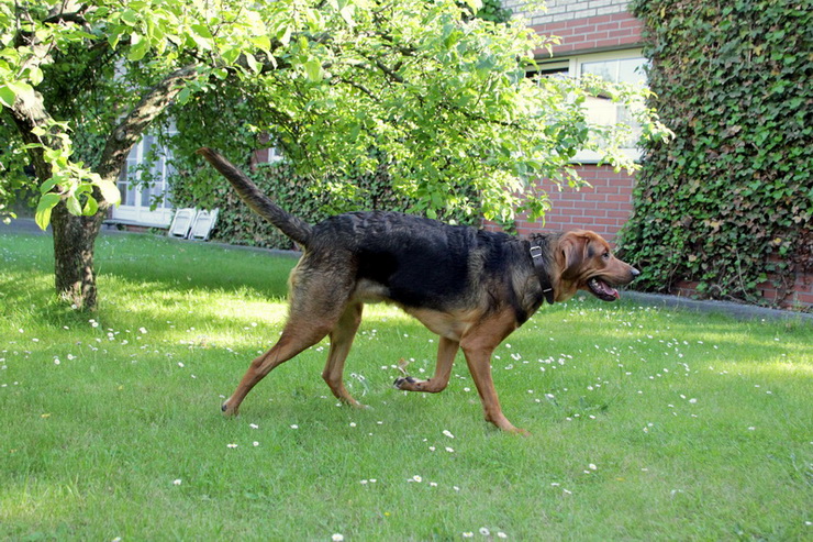 img4336resize_zmień nazwę.jpg