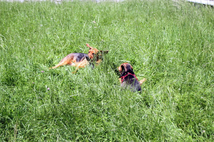 img4425resize_zmień nazwę.jpg