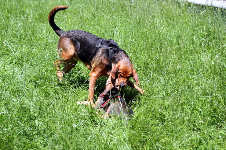 img4427resize_zmień nazwę.jpg