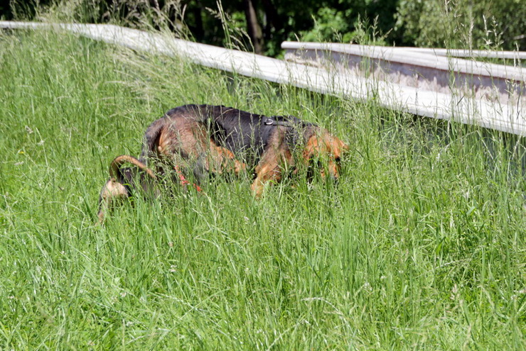 img4431resize_zmień nazwę.jpg