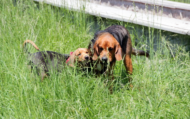 img4434resize_zmień nazwę.jpg