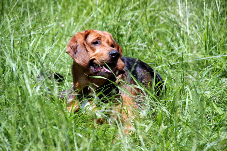 img4437resize_zmień nazwę.jpg