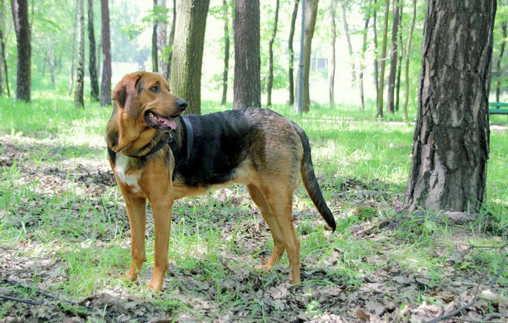 img4446resize_zmień nazwę.jpg