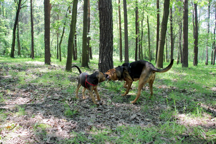 img4448resize_zmień nazwę.jpg