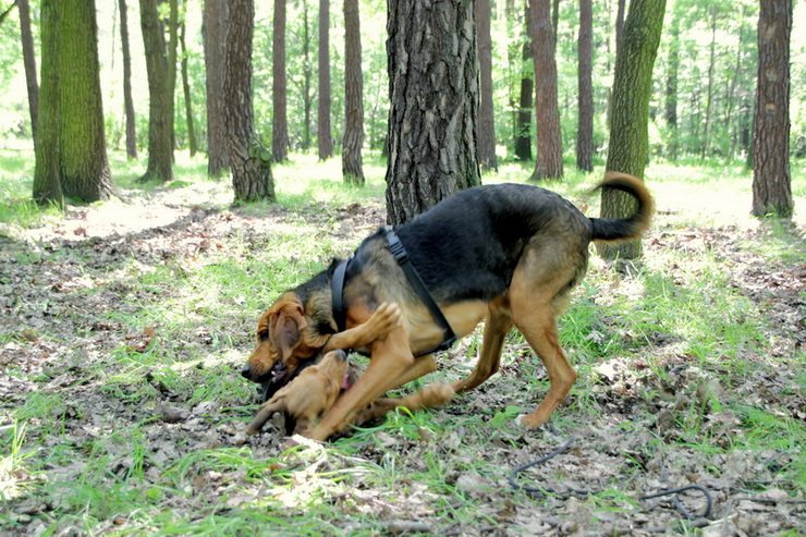 img4463resize_zmień nazwę.jpg