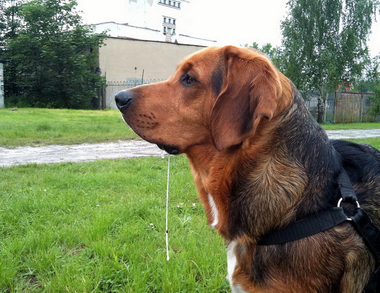 img0575resize_zmień nazwę.jpg