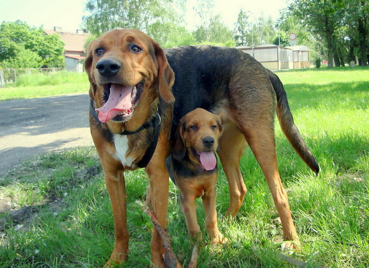 dsc00264resize_zmień nazwę.jpg