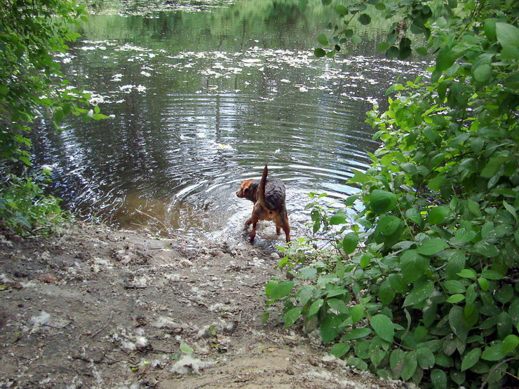 dsc00376resize_zmień nazwę.jpg