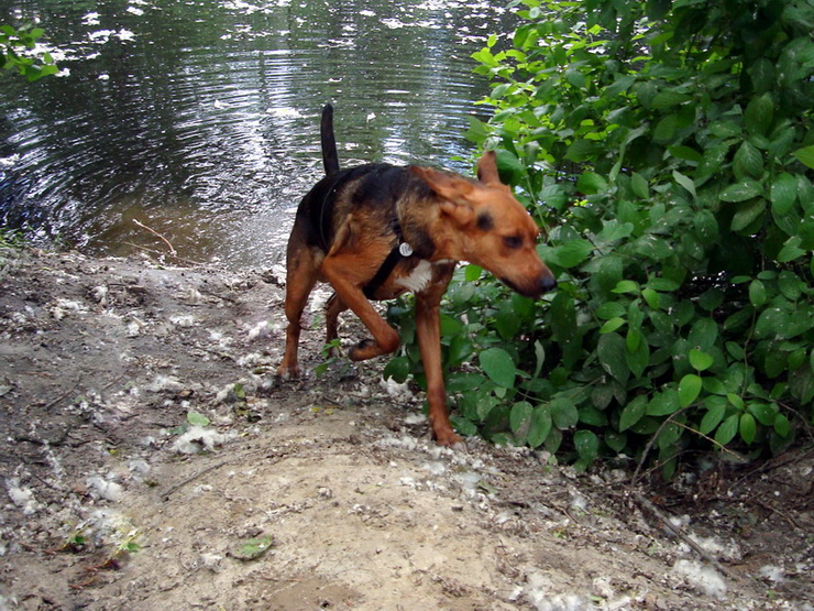 dsc00380resize_zmień nazwę.jpg