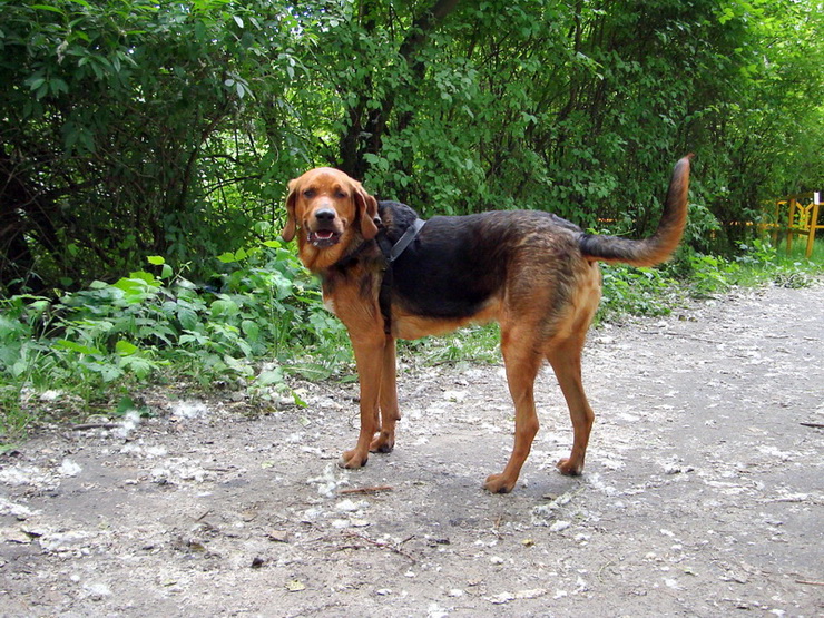 dsc00385resize_zmień nazwę.jpg