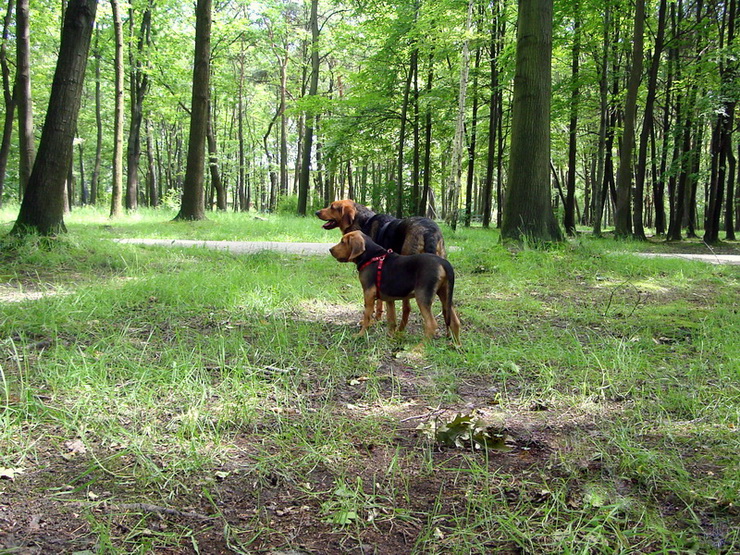 dsc00412resize_zmień nazwę.jpg