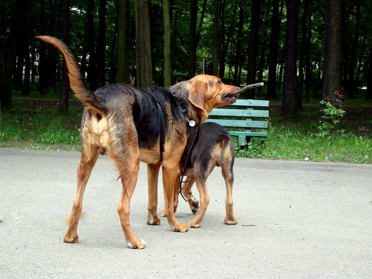 dsc00443resize_zmień nazwę.jpg