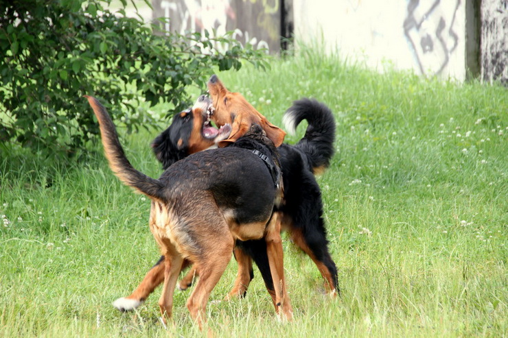 img5192resizey_zmień nazwę.jpg