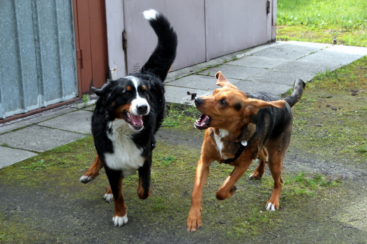 img5212resize_zmień nazwę.jpg