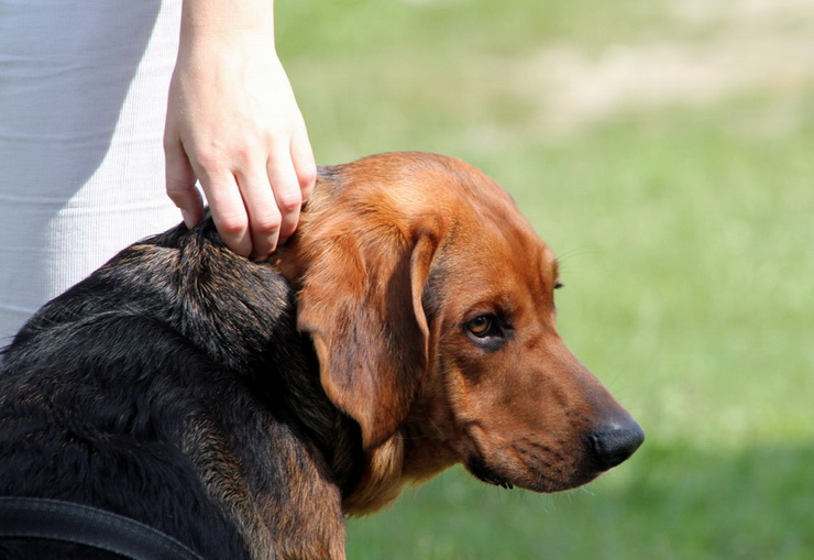 img5243resize_zmień nazwę.jpg