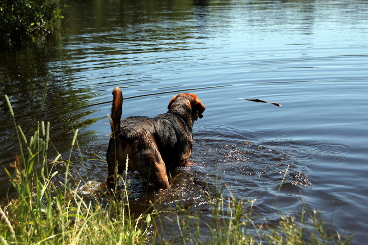 img5451resize_zmień nazwę.jpg