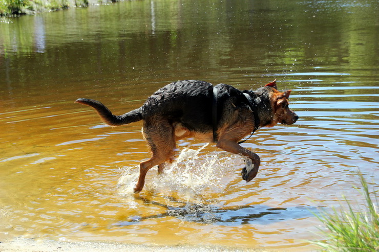 img5487resize_zmień nazwę.jpg