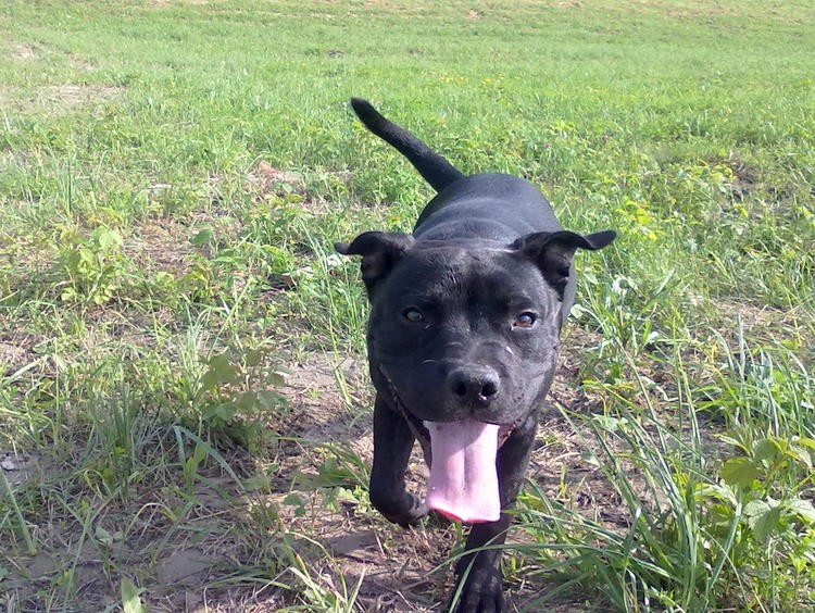 20100626279.jpg