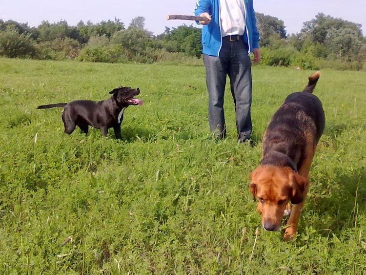 20100626282.jpg